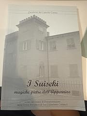 Suiseki magiche pietre usato  Spedito ovunque in Italia 