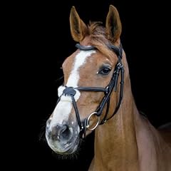 Cameo equine anatomic for sale  Delivered anywhere in UK