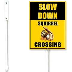 Houseuse squirrel crossing for sale  Delivered anywhere in USA 