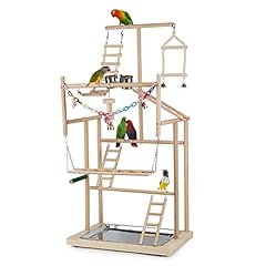 Ibnotuiy pet parrot for sale  Delivered anywhere in USA 