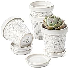 Tauci ceramic succulent for sale  Delivered anywhere in USA 