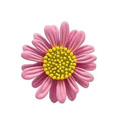 Cute daisy flower for sale  Delivered anywhere in USA 