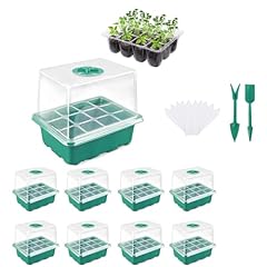 Aliangting pack seed for sale  Delivered anywhere in UK
