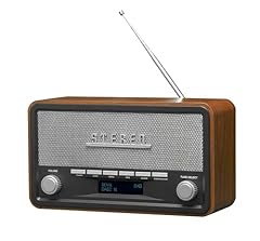 Denver dab radio gebraucht kaufen  Wird an jeden Ort in Deutschland