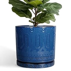 Eightpot inch pot for sale  Delivered anywhere in USA 