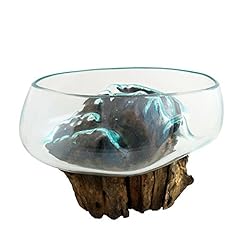 Cohasset gifts cohasset for sale  Delivered anywhere in USA 