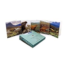 Pack highland animal for sale  Delivered anywhere in UK