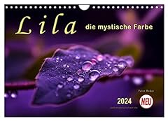 Lila mystische farbe gebraucht kaufen  Wird an jeden Ort in Deutschland