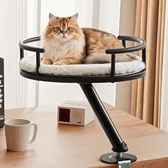 Ifnow cat desk for sale  Delivered anywhere in USA 