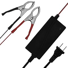 Mighty max battery for sale  Delivered anywhere in USA 