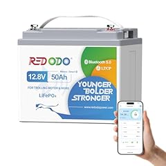 Redodo 12v 50ah usato  Spedito ovunque in Italia 