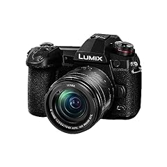 Panasonic lumix mirrorless for sale  Delivered anywhere in USA 
