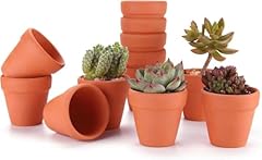 T4u 6.5cm terracotta for sale  Delivered anywhere in UK