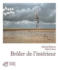 Brûler intérieur d'occasion  Livré partout en France