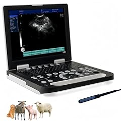 Ruisheng n50 laptop for sale  Delivered anywhere in USA 