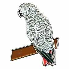 Gbjuk african grey for sale  Delivered anywhere in UK