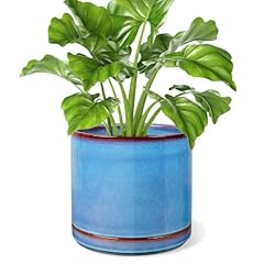 Litudiso inch ceramic for sale  Delivered anywhere in USA 