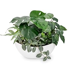 Fake plants 11.8 for sale  Delivered anywhere in USA 