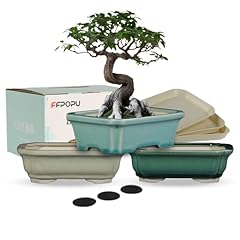 Ffpopu packs ceramic for sale  Delivered anywhere in USA 