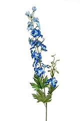 Artplants.de speronella artifi usato  Spedito ovunque in Italia 