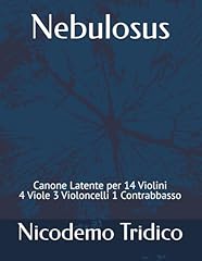 Nebulosus canone latente usato  Spedito ovunque in Italia 