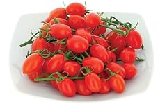 Pam pomodoro datterino usato  Spedito ovunque in Italia 