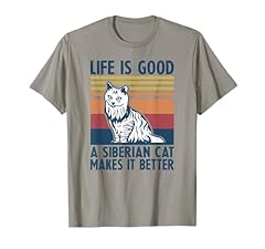 Gatto siberiano regali usato  Spedito ovunque in Italia 