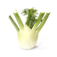 Produce organic fennel for sale  Delivered anywhere in USA 
