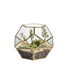 Ncyp terrarium forme d'occasion  Livré partout en France