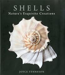 Shells nature exquisite for sale  Delivered anywhere in USA 