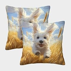 Nggadiweg maltese dog usato  Spedito ovunque in Italia 