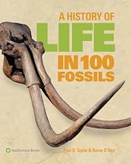 History life 100 gebraucht kaufen  Wird an jeden Ort in Deutschland