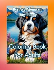 Bernese mountain dog for sale  Delivered anywhere in USA 