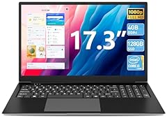 Sgin laptop computer for sale  Delivered anywhere in USA 