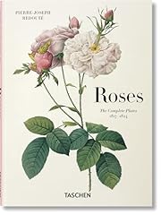Redouté. roses for sale  Delivered anywhere in UK