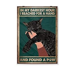 Black cat darkest for sale  Delivered anywhere in USA 