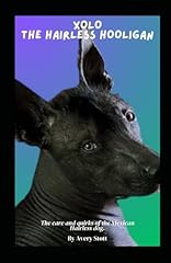 Xolo hairless hooligan for sale  Delivered anywhere in UK