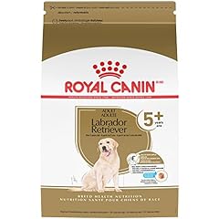 Royal canin bhn for sale  Delivered anywhere in USA 
