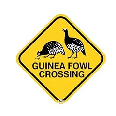 Guinea fowl crossing for sale  Delivered anywhere in USA 