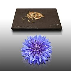 150 graines fleurs d'occasion  Livré partout en France