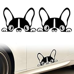 Unidades stickers coche usato  Spedito ovunque in Italia 