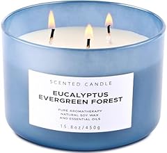 Eucalyptus evergreen forest for sale  Delivered anywhere in USA 