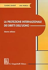 Protezione internazionale dei usato  Spedito ovunque in Italia 