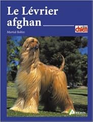 Lévrier afghan robin d'occasion  Livré partout en France