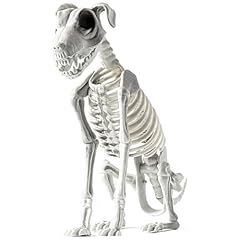 Realistic dog skeletons for sale  Delivered anywhere in USA 