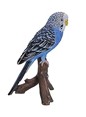 Blue budgerigar for sale  Delivered anywhere in Ireland