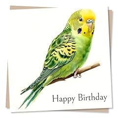 Budgie birthday card for sale  Delivered anywhere in UK