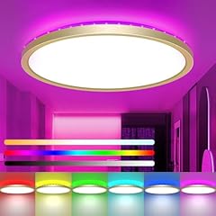 Zemty led deckenleuchte gebraucht kaufen  Wird an jeden Ort in Deutschland