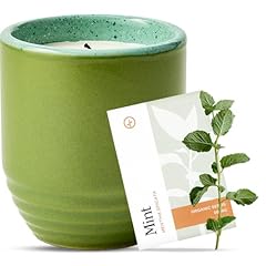 Modern sprout garden for sale  Delivered anywhere in USA 