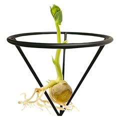 Avocado halterung avocado gebraucht kaufen  Wird an jeden Ort in Deutschland